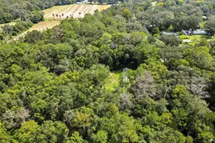 19995 Manecke Rd, Brooksville, FL 34601 - Photo 17