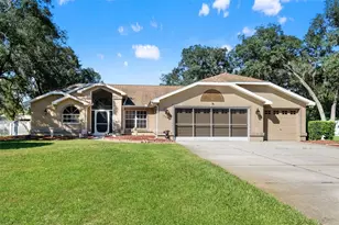 12843 Oak Nut St, Hudson, FL 34667 - Photo 1