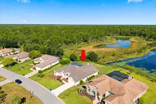 8405 Maybelle Dr, Weeki Wachee, FL 34613 - Photo 61