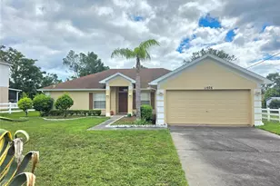 11026 Little St, Spring Hill, FL 34608 - Photo 1