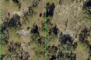 6391 Nodoc Rd, Spring Hill, FL 34609 - Photo 1