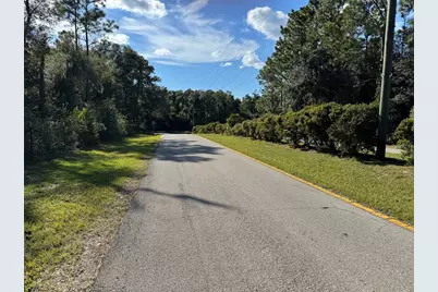 12434 S Canna Point, Floral City, FL 34436 - Photo 3