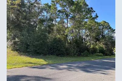 12434 S Canna Point, Floral City, FL 34436 - Photo 5