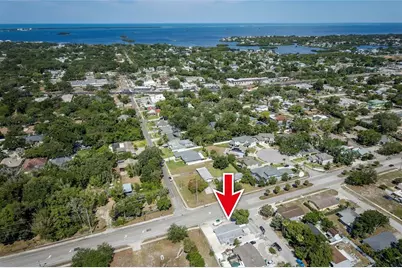 504 Omaha Street, Palm Harbor, FL 34683 - Photo 5
