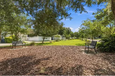 10643 Marsha Drive, New Port Richey, FL 34655 - Photo 33