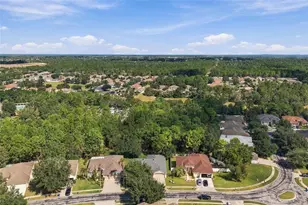 14617 Edgemere Dr, Spring Hill, FL 34609 - Photo 57