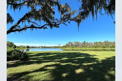12315 Barn Cat Run, Odessa, FL 33556 - Photo 47