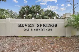 3856 Trophy Blvd, New Port Richey, FL 34655 - Photo 53