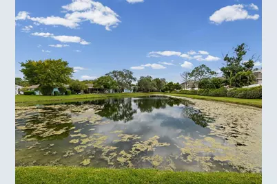 11829 Ivywood Place, New Port Richey, FL 34654 - Photo 41