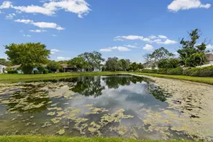 11829 Ivywood Pl, New Port Richey, FL 34654 - Photo 41