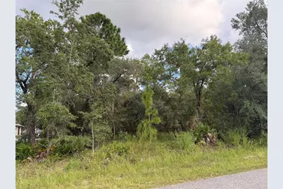 11192 Lomita Wren Road, Weeki Wachee, FL 34614 - Photo 3
