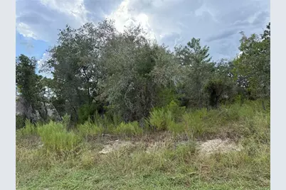 11023 Wren Road, Brooksville, FL 34613 - Photo 3