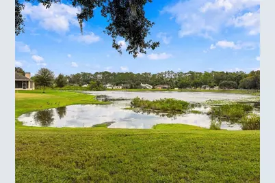 19621 Lake Osceola Lane, Odessa, FL 33556 - Photo 39