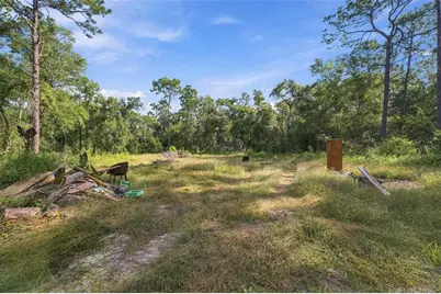 6064 Desales Street, Brooksville, FL 34604 - Photo 33