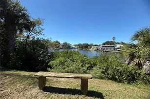 4805 Alt 19, Palm Harbor, FL 34683 - Photo 45