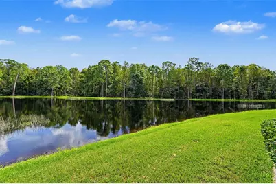 1300 Trimaran Place, Trinity, FL 34655 - Photo 59