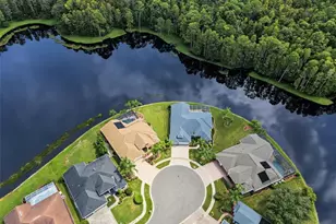 1300 Trimaran Pl, Trinity, FL 34655 - Photo 5