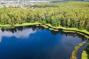 1300 Trimaran Pl, Trinity, FL 34655 - Photo 65