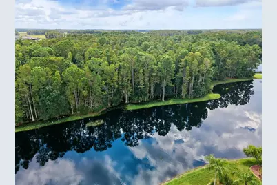 1300 Trimaran Place, Trinity, FL 34655 - Photo 3