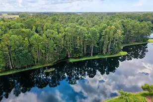 1300 Trimaran Pl, Trinity, FL 34655 - Photo 3
