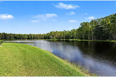 1300 Trimaran Place, Trinity, FL 34655 - Photo 63