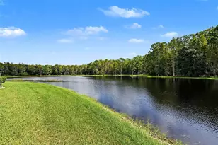 1300 Trimaran Pl, Trinity, FL 34655 - Photo 63