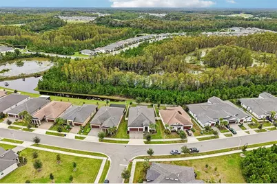 17022 Forge Surf Street, Land O Lakes, FL 34638 - Photo 49