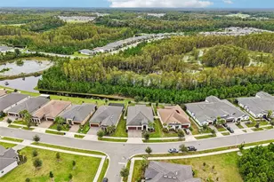 17022 Forge Surf St, Land O Lakes, FL 34638 - Photo 49