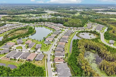 17022 Forge Surf Street, Land O Lakes, FL 34638 - Photo 51