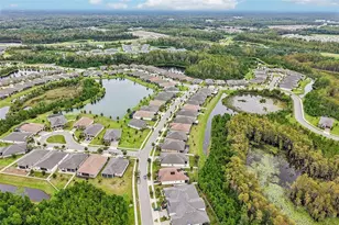 17022 Forge Surf St, Land O Lakes, FL 34638 - Photo 51