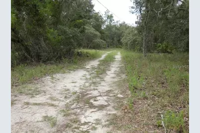 12122 Seiffert Road, Hudson, FL 34667 - Photo 3