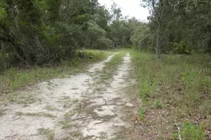 12122 Seiffert Rd, Hudson, FL 34667 - Photo 3