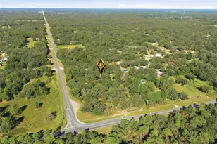 1181 W Cardinal St, Lecanto, FL 34461 - Photo 45