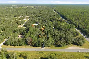 1181 W Cardinal St, Lecanto, FL 34461 - Photo 41