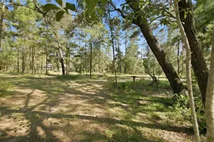 1181 W Cardinal St, Lecanto, FL 34461 - Photo 47