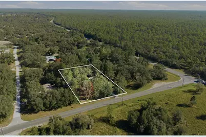 1181 W Cardinal Street, Lecanto, FL 34461 - Photo 39