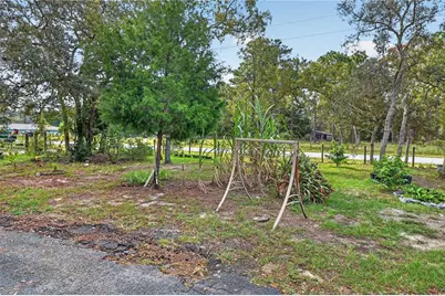 12627 Beagle Road, Hudson, FL 34667 - Photo 33