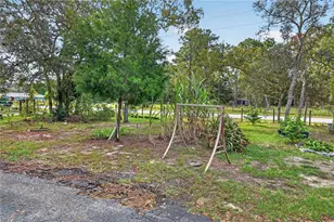 12627 Beagle Rd, Hudson, FL 34667 - Photo 33