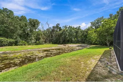 11002 Belle Haven Drive, New Port Richey, FL 34654 - Photo 67