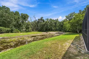 11002 Belle Haven Dr, New Port Richey, FL 34654 - Photo 67