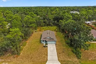 12026 Limpkin Rd, Weeki Wachee, FL 34614 - Photo 17