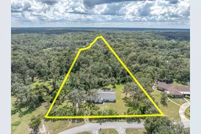 11211 Pine Forest Drive, New Port Richey, FL 34654 - Photo 7