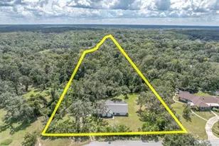 11211 Pine Forest Dr, New Port Richey, FL 34654 - Photo 7