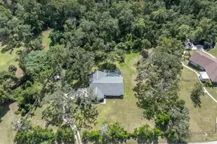 11211 Pine Forest Dr, New Port Richey, FL 34654 - Photo 9