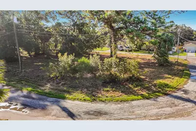 0 Horizon Drive, Hudson, FL 34667 - Photo 3