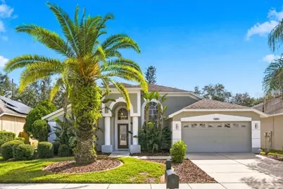 18009 Palm Breeze Drive, Tampa, FL 33647 - Photo 1
