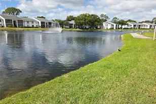 1236 Pine Ridge Cir W, Tarpon Springs, FL 34688 - Photo 21