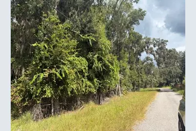 Pine Cabin Road, Brooksville, FL 34601 - Photo 5