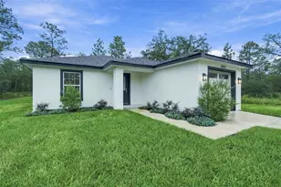12151 Sora Ave, Weeki Wachee, FL 34614 - Photo 39