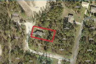 12151 Sora Ave, Weeki Wachee, FL 34614 - Photo 3